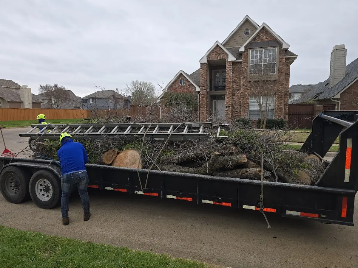 Expert Lot Clearing with proper safety equipment in Hiltons